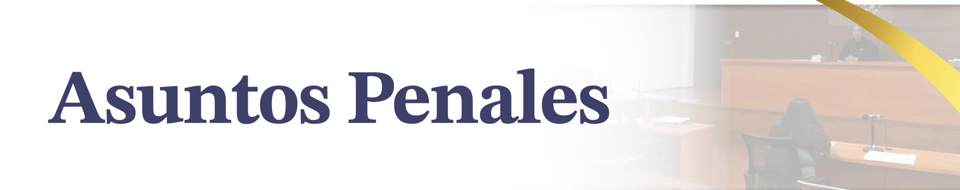 Asuntos penales