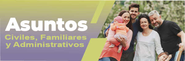 Asuntos civiles, familiares y mercantiles