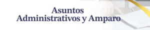 Asuntos administrativos y amparo