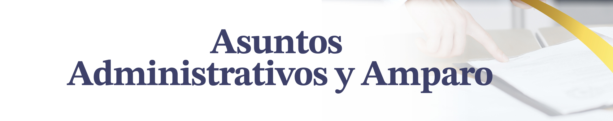 Asuntos administrativos y amparo